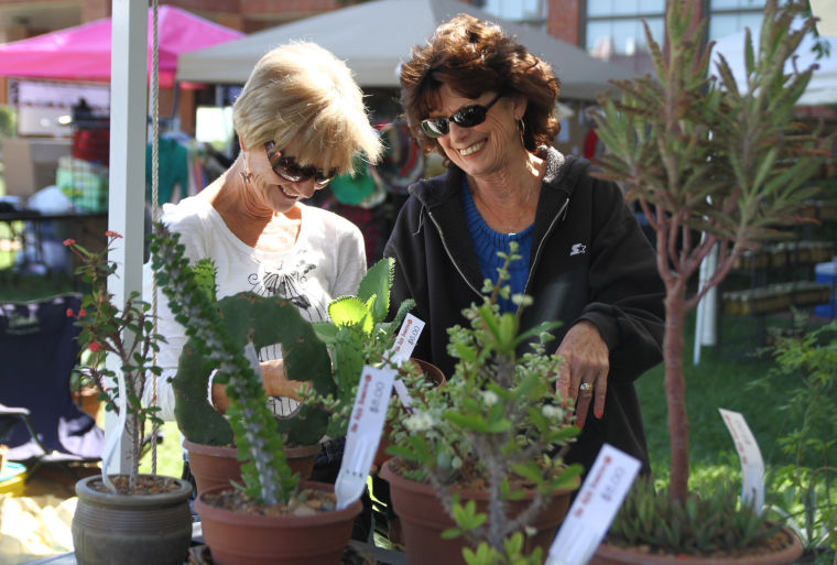 Salado Market Days